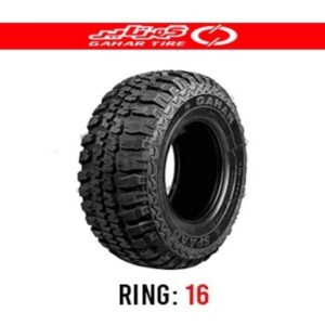 تایر Pariz با بهره‌گیری از تکنولوژی رادیال و طراحی گل تقویت‌شده، برای رانندگانی طراحی شده که به دنبال ترکیبی از کیفیت ساخت داخلی، قیمت اقتصادی و عملکرد قابل‌اعتماد هستند. الگوی آج این تایر با بلوک‌های مرکزی و شیارهای عرضی، کنترل فرمان، ترمزگیری مطمئن و کاهش نویز را بهبود می‌بخشد.